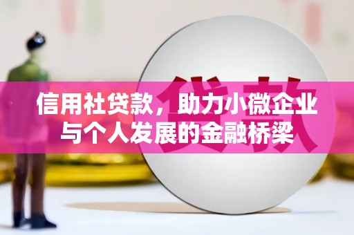 北关信用社贷款，助力小微企业与个人发展的金融桥梁