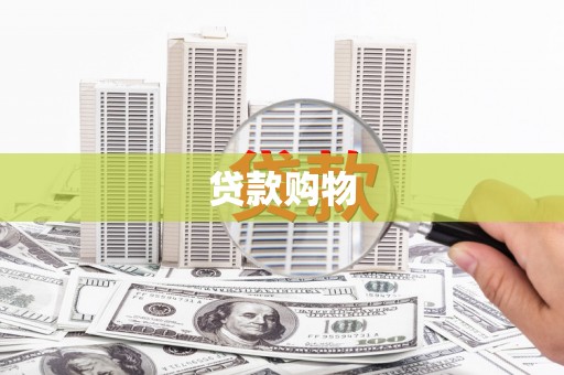 乐东贷款购物