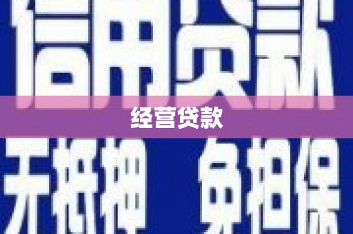 中正经营贷款