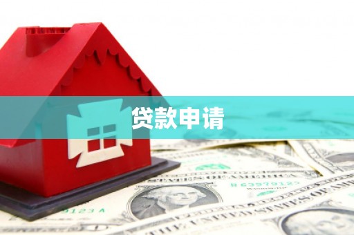 大东贷款申请