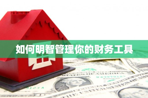 汉寿如何明智管理你的财务工具