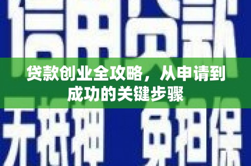 芦山贷款创业全攻略，从申请到成功的关键步骤