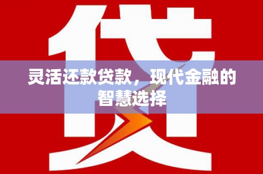 那曲灵活还款贷款，现代金融的智慧选择