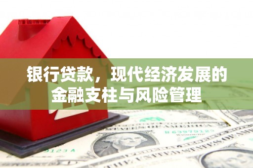 门源银行贷款，现代经济发展的金融支柱与风险管理