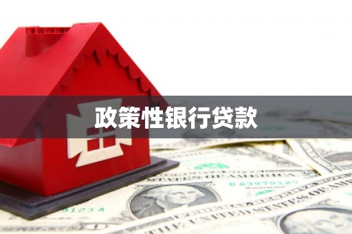 新罗政策性银行贷款