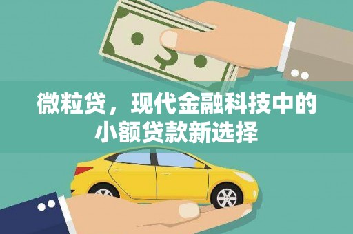 子洲微粒贷，现代金融科技中的小额贷款新选择