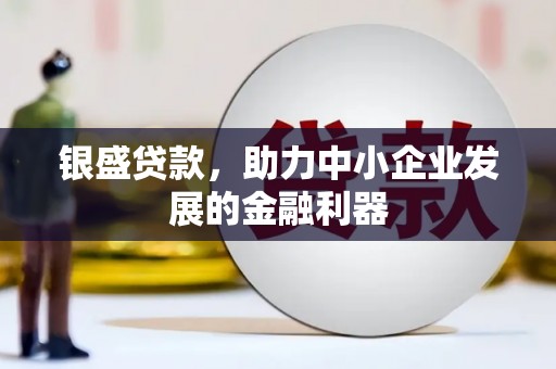 志丹银盛贷款，助力中小企业发展的金融利器