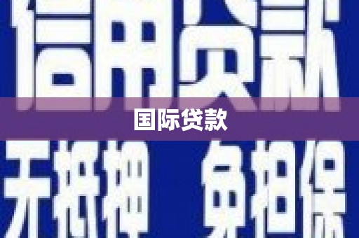 莎车国际贷款