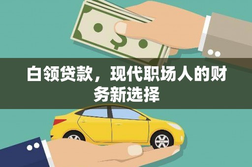 定安白领贷款，现代职场人的财务新选择