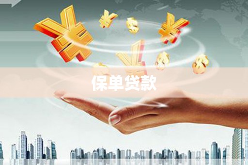 施甸保单贷款