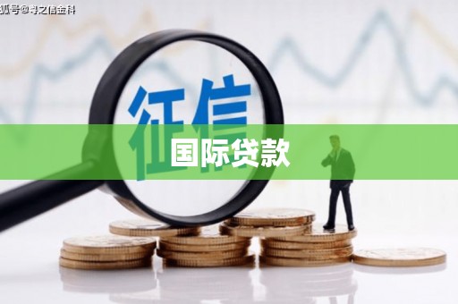 普湾新区国际贷款