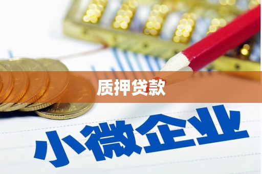 吴起质押贷款