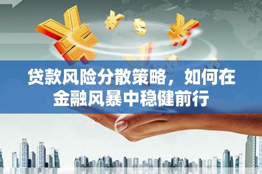 红星贷款风险分散策略，如何在金融风暴中稳健前行