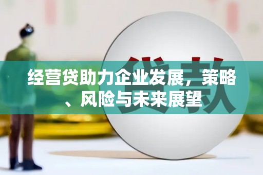 信州经营贷助力企业发展，策略、风险与未来展望