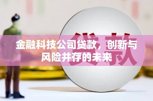 新郑金融科技公司贷款，创新与风险并存的未来