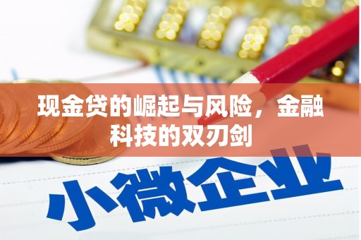 越城现金贷的崛起与风险，金融科技的双刃剑