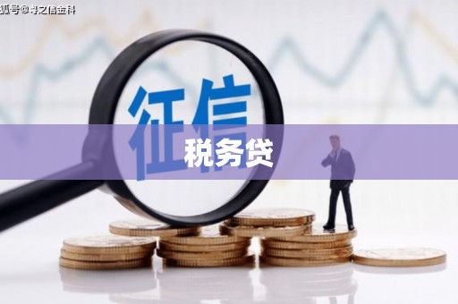 东胜税务贷