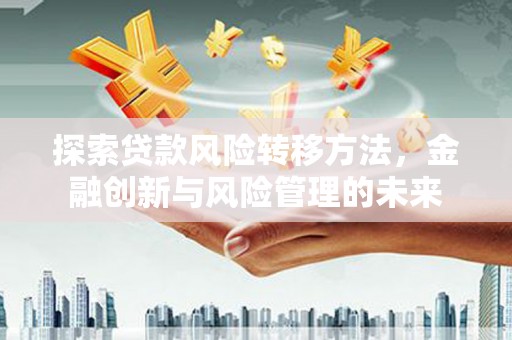 泸溪探索贷款风险转移方法，金融创新与风险管理的未来