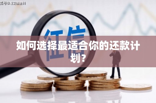南化如何选择最适合你的还款计划？
