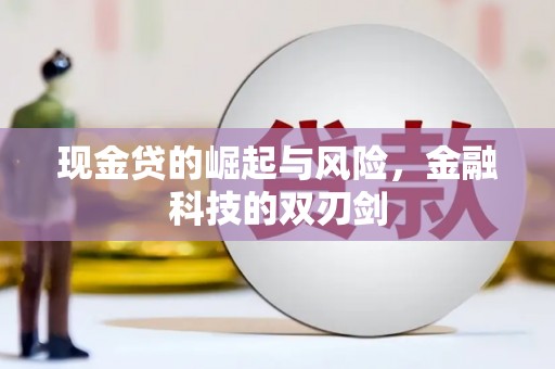 西秀现金贷的崛起与风险，金融科技的双刃剑