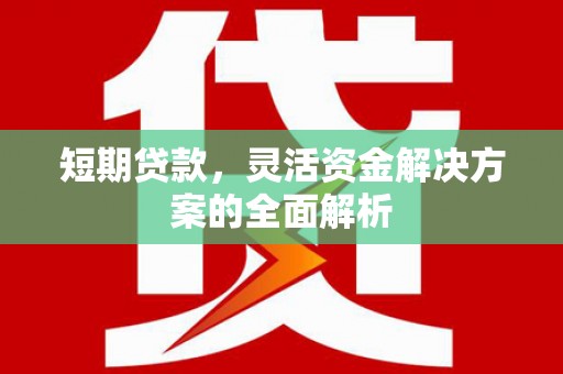 莱山短期贷款，灵活资金解决方案的全面解析