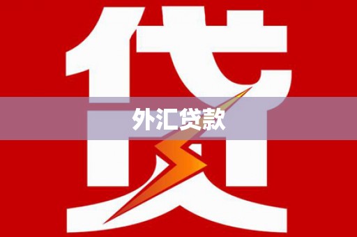 富川外汇贷款