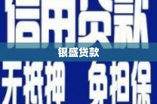 项城银盛贷款
