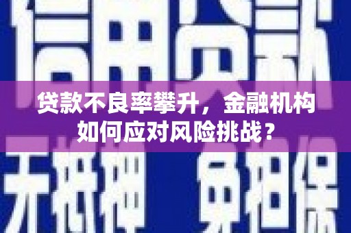 曾都贷款不良率攀升，金融机构如何应对风险挑战？