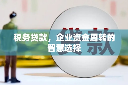 米东税务贷款，企业资金周转的智慧选择