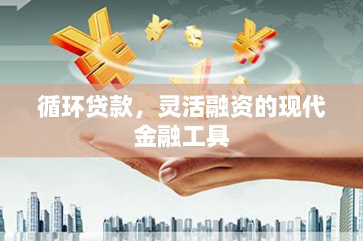 乐都循环贷款，灵活融资的现代金融工具