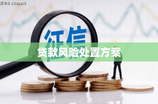 阿巴嘎旗贷款风险处置方案