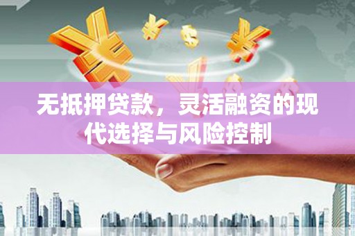 甘洛无抵押贷款，灵活融资的现代选择与风险控制