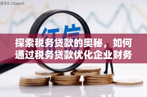 玉田探索税务贷款的奥秘，如何通过税务贷款优化企业财务
