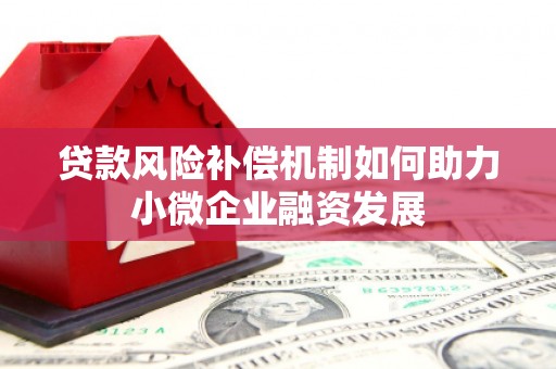 长垣贷款风险补偿机制如何助力小微企业融资发展