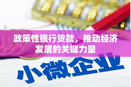 丽水政策性银行贷款，推动经济发展的关键力量