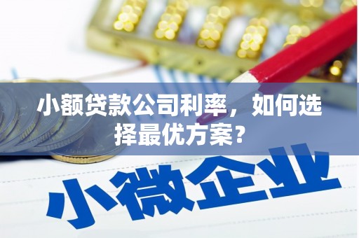 汶川小额贷款公司利率，如何选择最优方案？