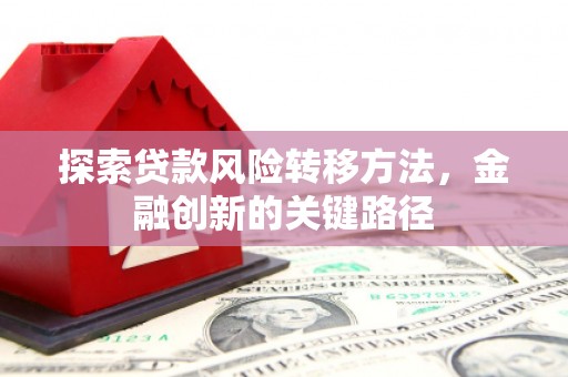 关岭探索贷款风险转移方法，金融创新的关键路径
