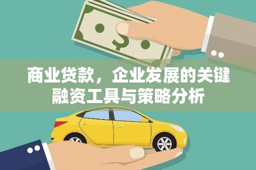 汉源商业贷款，企业发展的关键融资工具与策略分析