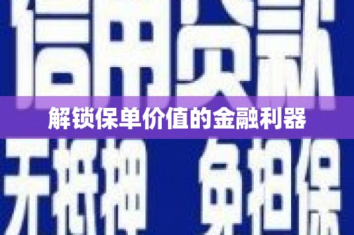 和布克赛尔解锁保单价值的金融利器