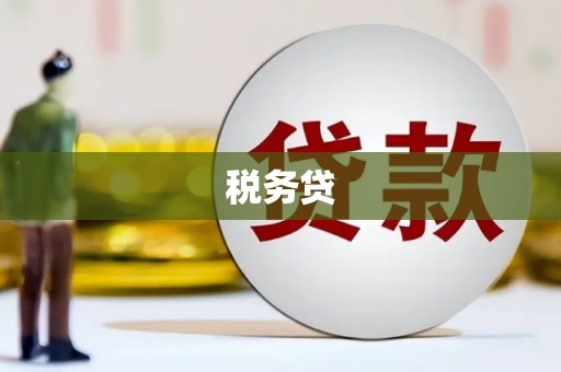 双滦税务贷