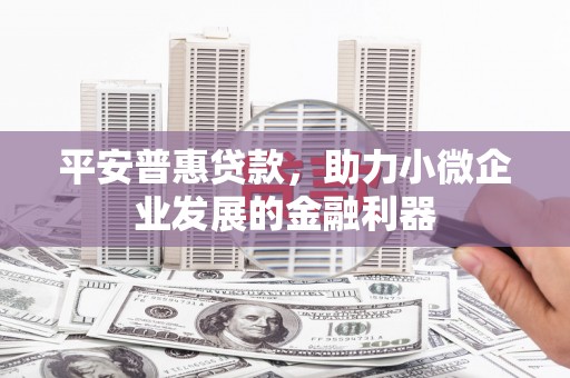 振安平安普惠贷款，助力小微企业发展的金融利器