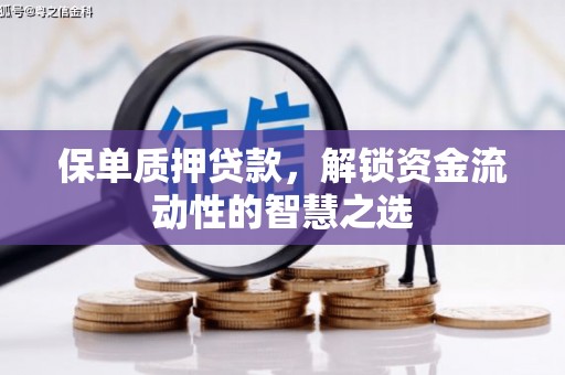 港口保单质押贷款，解锁资金流动性的智慧之选