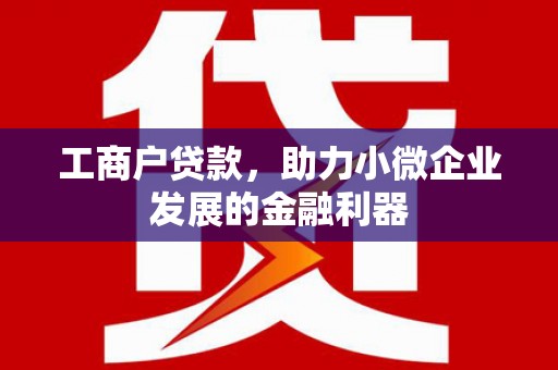 金阳工商户贷款，助力小微企业发展的金融利器