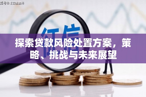 岐山探索贷款风险处置方案，策略、挑战与未来展望
