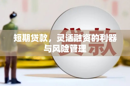 鲁山短期贷款，灵活融资的利器与风险管理