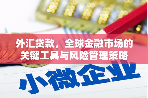 大武外汇贷款，全球金融市场的关键工具与风险管理策略