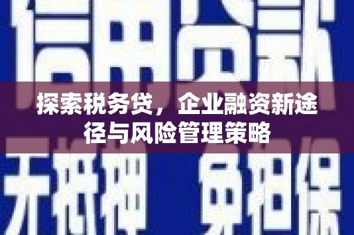 潮安探索税务贷，企业融资新途径与风险管理策略