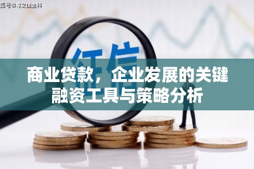 萨嘎商业贷款，企业发展的关键融资工具与策略分析