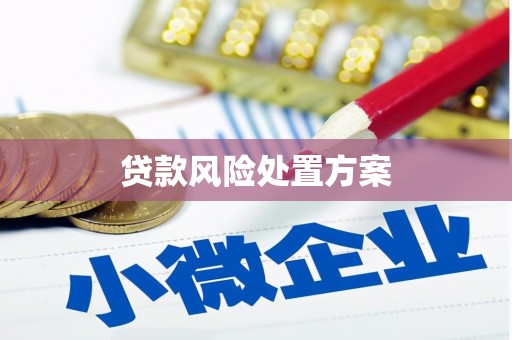 伊宁贷款风险处置方案
