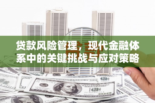 达茂旗贷款风险管理，现代金融体系中的关键挑战与应对策略